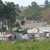 Remnants of Chinese Gardens, Yarra Bay & Botany Cemetery